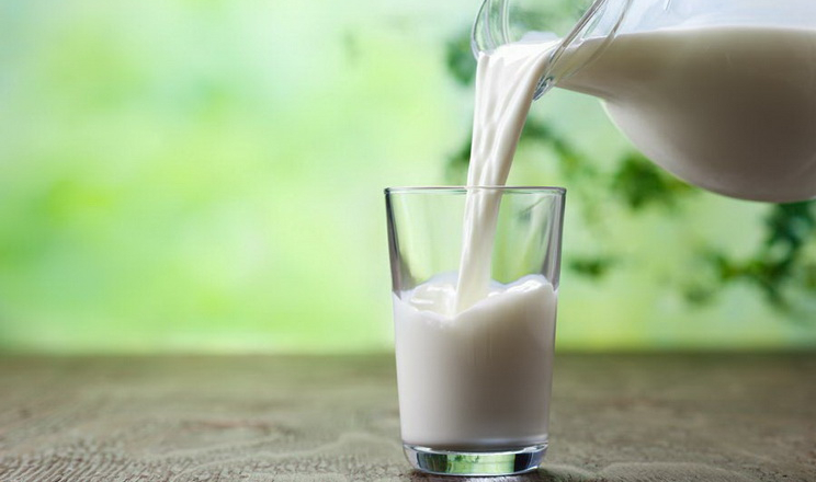 Ціни на молоко-сировину сягнули максимуму