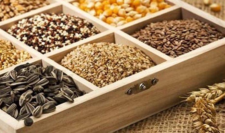 Експорт українського насіння сільгоспкультур зріс на 9,6%