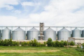Елеватори «Новаагро» прийняли на зберігання понад 200 тис. тонн зерна