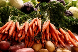 Україна повністю відновила виробництво овочів борщової групи