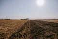 Сівба озимих на Чернігівщині затримується через перезволоженість ґрунту