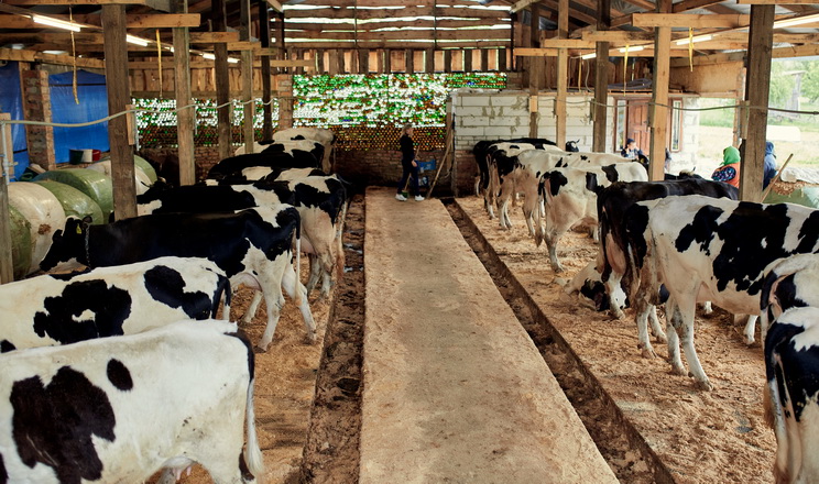 4 сімейні молочні ферми отримали фінансування від кредитної спілки