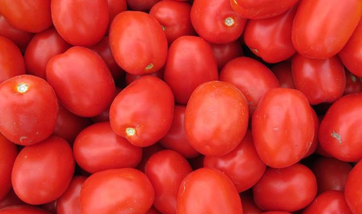 З’явилися дешеві томати-сливки