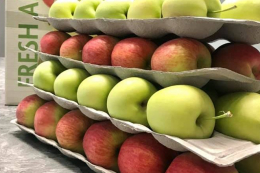 Світове виробництво яблук впаде до мінімуму за п'ять років