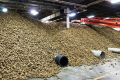 У США фермери зберігають суперурожай картоплі в авіангарах