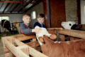 «Сімейні молочні ферми» розширюють співпрацю на Полтавщині