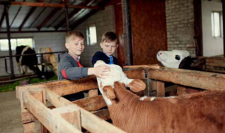 «Сімейні молочні ферми» розширюють співпрацю на Полтавщині