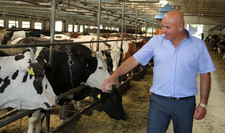 На форумі «Молочна ферма» Михайло Федчишен розповість, як створити коров’ячий all inclusive