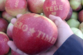 Садівники Дніпропетровщини вирощують яблука з написами