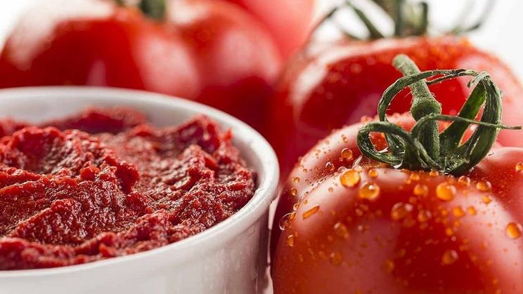 Українська органічна томатна паста продається в Німеччині та Японії