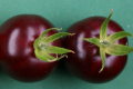 Вчені отримали фіолетові томати з пігментом буряка