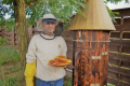 В Україні зростає популярність бортьового меду