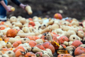 Німецький фермер роздає задарма некрасиві овочі