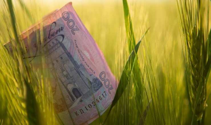 В Україні надаватимуть гранти на розвиток агропідприємництва
