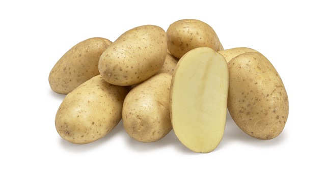 Agrico представила два нових сорти картоплі