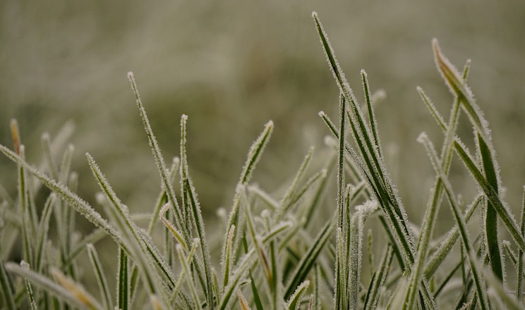 Синоптики прогнозують заморозки на поверхні ґрунту