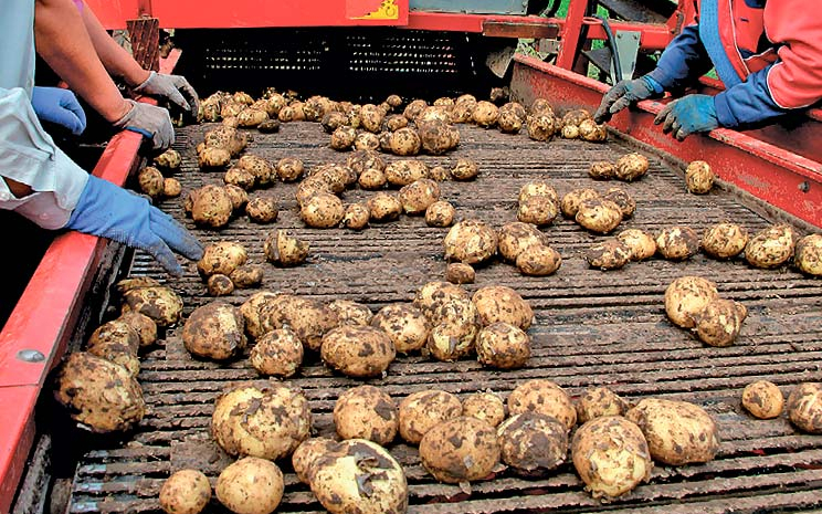 Переробник прагне працювати з продукцією, яка відповідає його цілям