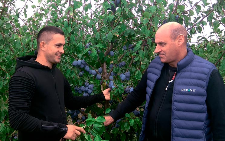 Cадівники та виноградарі активно шукають шляхи оптимізації своїх виробничих затрат