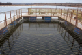 Вперше в Україні господарство орендувало частку водойми для вирощування риби