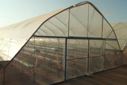 Мінекономіки відновлює грантову підтримку на сади та теплиці