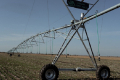 На Дніпропетровщині запустили 12 дощувальних машин Variant Irrigation