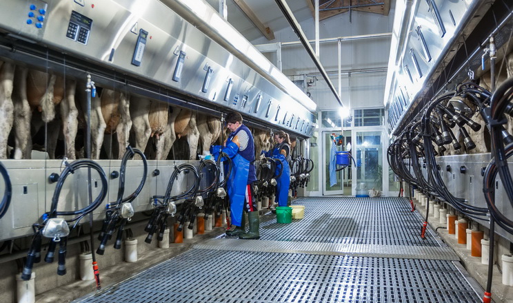 «ДеЛаваль» розробила технологію вакууму, що підлаштовується під доїння корови