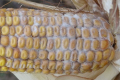 Як запобігти появі диплодіозу в посівах кукурудзи