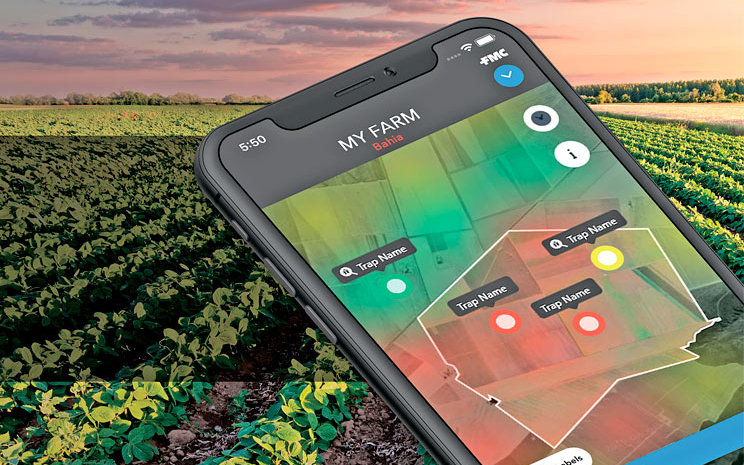 В Україні з’явилася інноваційна платформа для моніторингу заселення шкідників у посівах кукурудзи