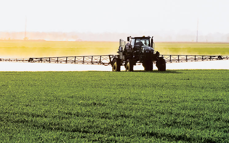 Дербі™ — незамінний гербіцид у контролі IMI-падалиці ріпаку