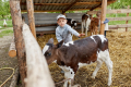 Дві ферми з Миколаївщини стали учасниками проєкту «Сімейні молочні ферми»