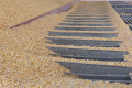Очищення зерна – одна з тем Всеукраїнського практичного форуму «Власний Елеватор»