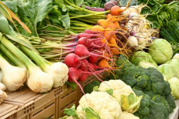 Ціни на паливо значно вплинуть на вартість овочів у 2026 році