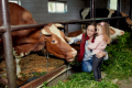 Сімейні молочні ферми отримали 2,7 млн грн  кредитів