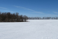 Озимі на Дніпропетровщині захищені шаром снігу