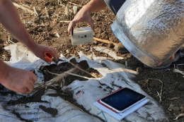 Дослідили інтенсивність викидів CO₂ з ґрунту після використання різних знарядь