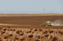 «Агротрейд» зібрав майже 350 тис. тонн зернових та олійних культур