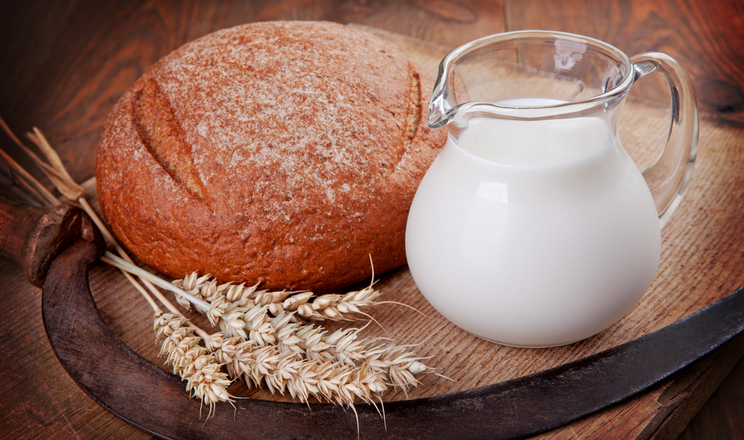 Італійський кооператив випікатиме бездріжжовий хліб з зерна, зібраного на Львівщині