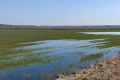 На Дніпропетровщині зафіксоване застоювання талих вод на полях