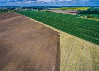 вирощування культур