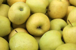 Гуртові ціни на вітчизняні яблука на 60-75% вищі, ніж торік