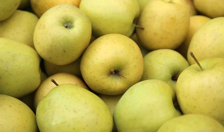 Ціни на яблука цього сезону будуть низькими