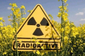 Забруднені радіацією землі на Житомирщині використовували для сільгоспвиробництва