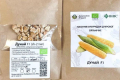 В Україні створили гібрид органічної солодкої кукурудзи