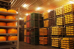 «Агропродсервіс» і «Молокія» планують звести сирзавод