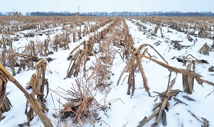 Погода в Україні: сніг, подекуди з дощем