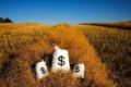 Інвестиційний потенціал АПК України під загрозою, – Інститут аграрної економіки