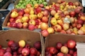 Одеський волонтер залишив на ринку яблука для населення