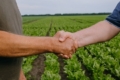Аграрії мають зареєструвати право на користування землею, отриманою під час війни