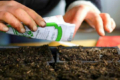 МінАПК скасовує додаткові процедури з сертифікації насіння