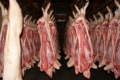 Виручка KSG Agro від реалізації свиней за 10 місяців зросла на 34,1%